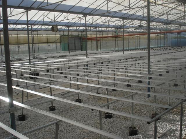 Benches installation in a large-scale greenhouse unit